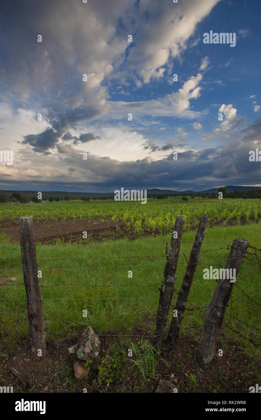 Ejido Colonia Pacheco, Mpo. Casas Grandes, Chihuahua, Mexico Stock