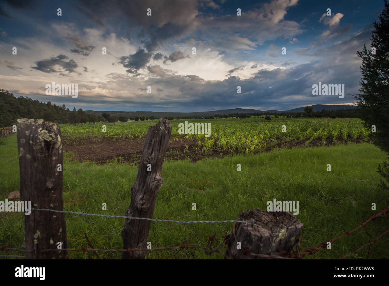 Ejido Colonia Pacheco, Mpo. Casas Grandes, Chihuahua, Mexico Stock