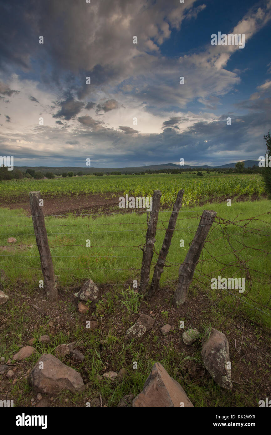 Ejido Colonia Pacheco, Mpo. Casas Grandes, Chihuahua, Mexico Stock