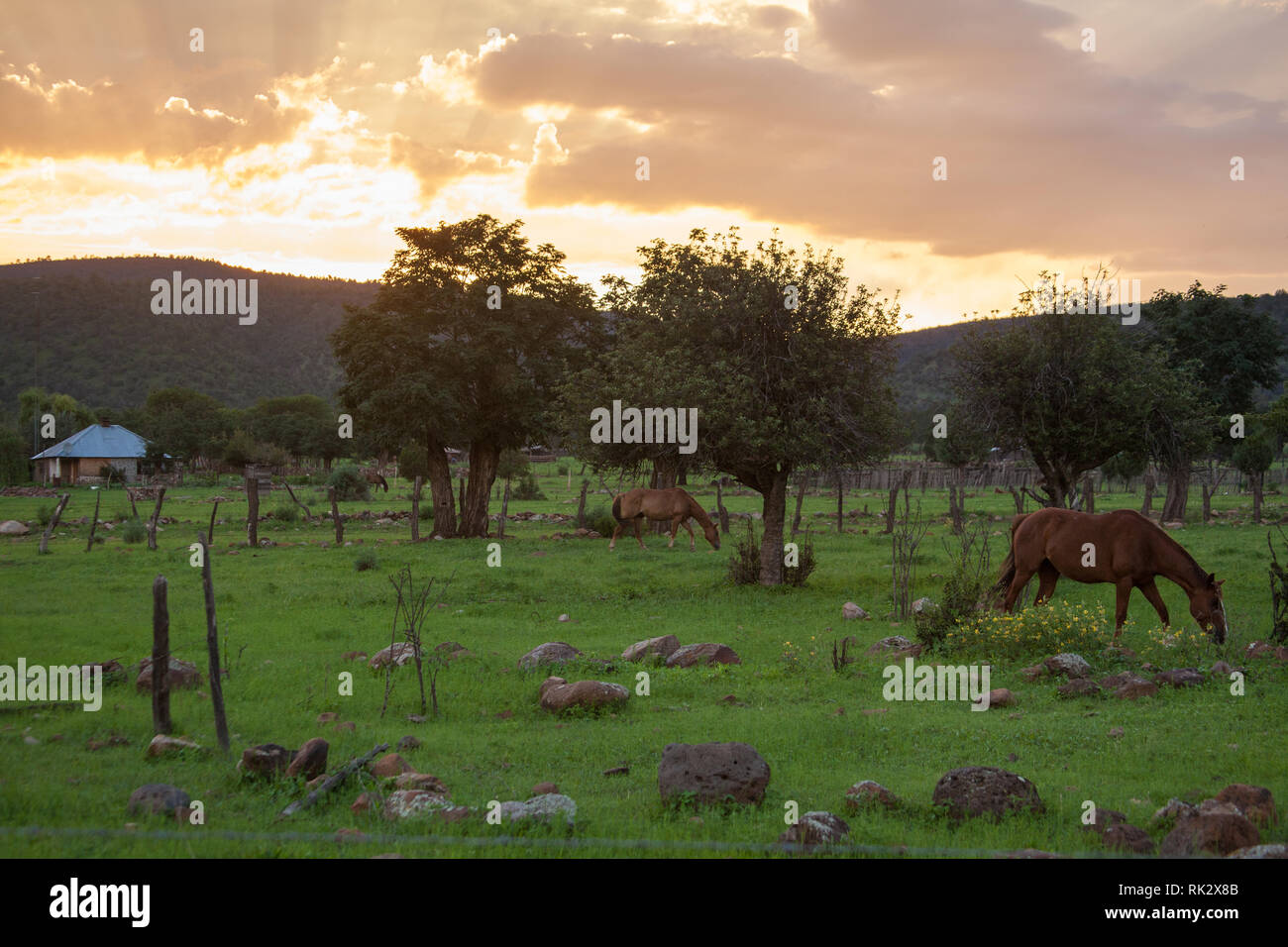 Ejido Colonia Pacheco, Mpo. Casas Grandes, Chihuahua, Mexico Stock