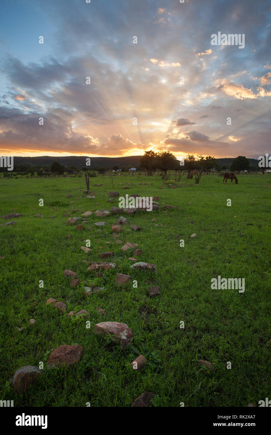 Ejido Colonia Pacheco, Mpo. Casas Grandes, Chihuahua, Mexico Stock