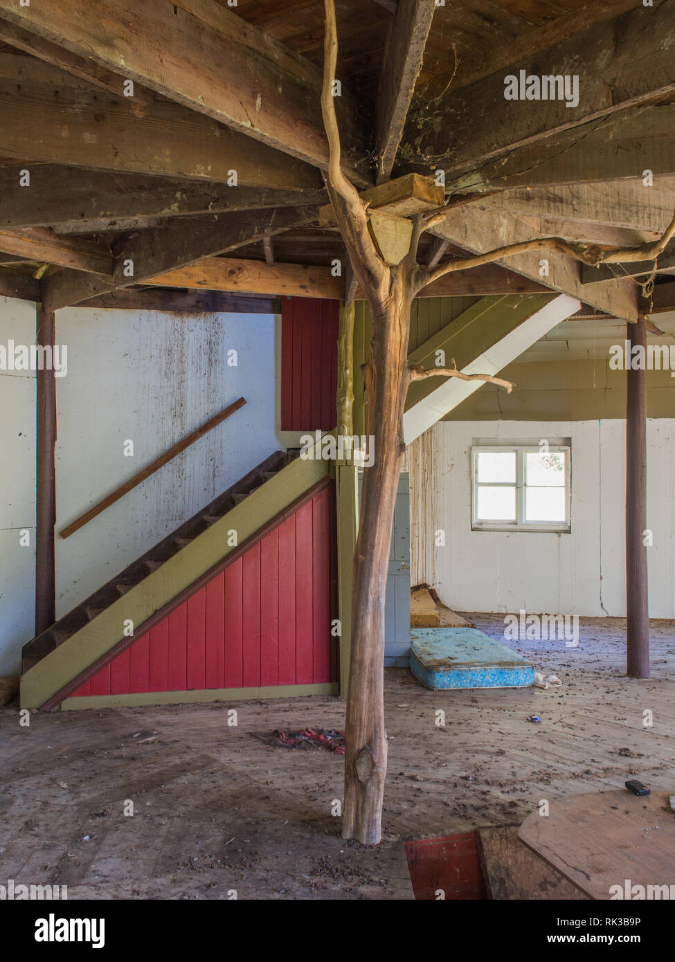 Interior of derelict community building, ground floor, Ahu Ahu Ohu, Ahuahu Valley, Whanganui River, New Zealand Stock Photo