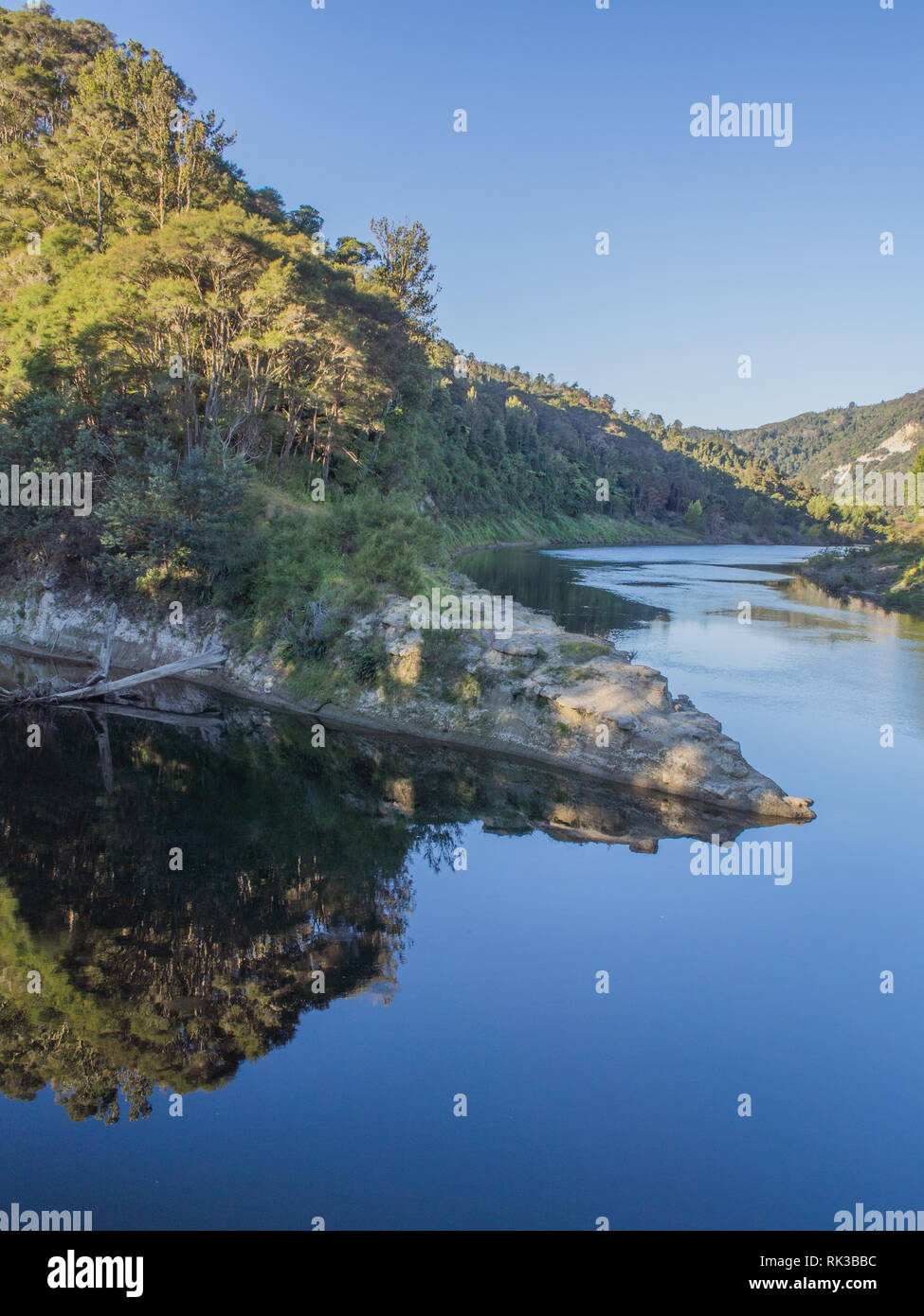 Te Tuhi Landing, Whanganui River, confluence with Ahuahu Stream, native ...