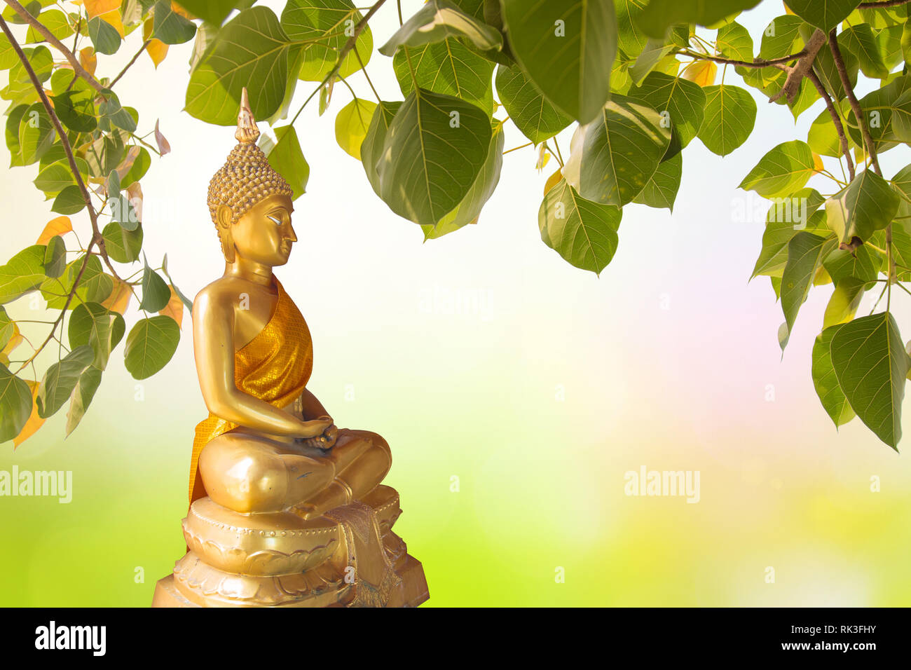 Buddha under Bodhi Leaf on nature background. Sacred Tree for Buddhist or Hindus and Beautiful natural blurred green background with sun rays. Stock Photo