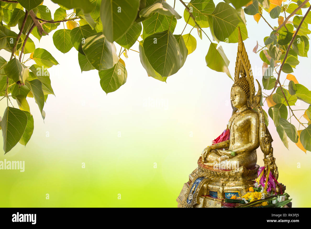 Buddha under Bodhi Leaf on nature background. Sacred Tree for Buddhist or Hindus and Beautiful natural blurred green background with sun rays. Stock Photo