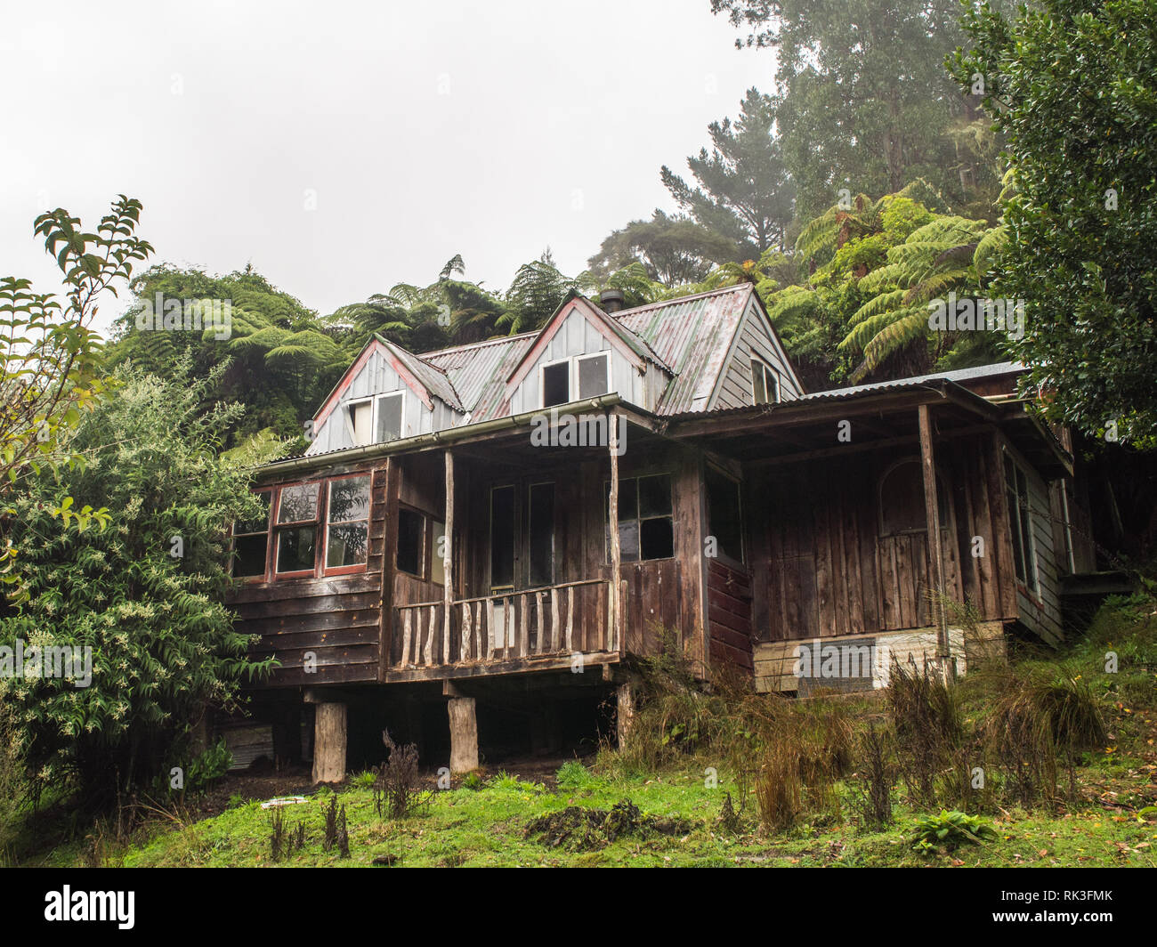 Abandoned house, encroaching forest, Ahu Ahu Ohu, Whanganui River, North Island, New Zealand