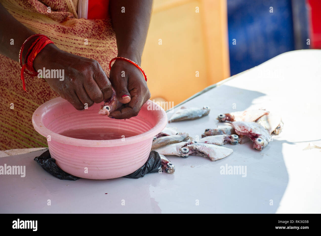 An Indian lady prepares small fish for cooking in a fish market Stock ...