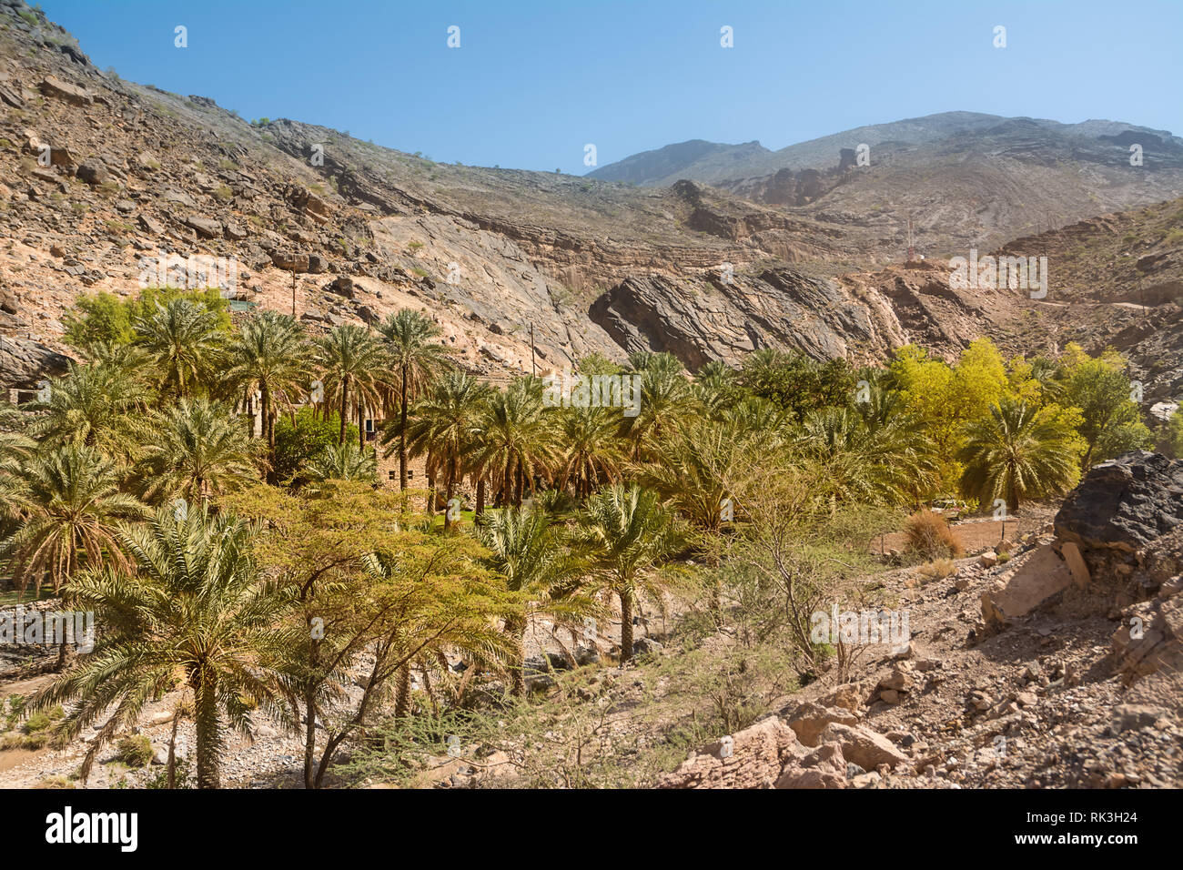 Oasis in the mountain valleys at Jebel Shams Stock Photo