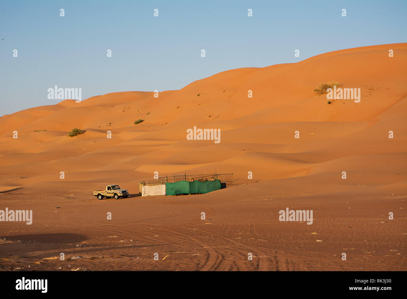 Bidiyah, Oman - November 5, 2018: Animal fence and car pickups under ...