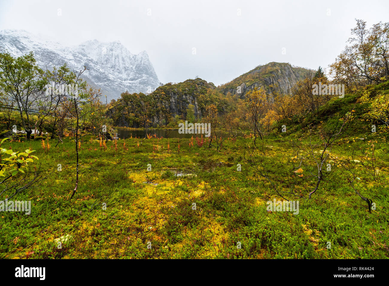 Autumnal landscape in the countryside of Svolvaer, Vagan municipality, Nordland, Lofoten Islands, Norway Stock Photo