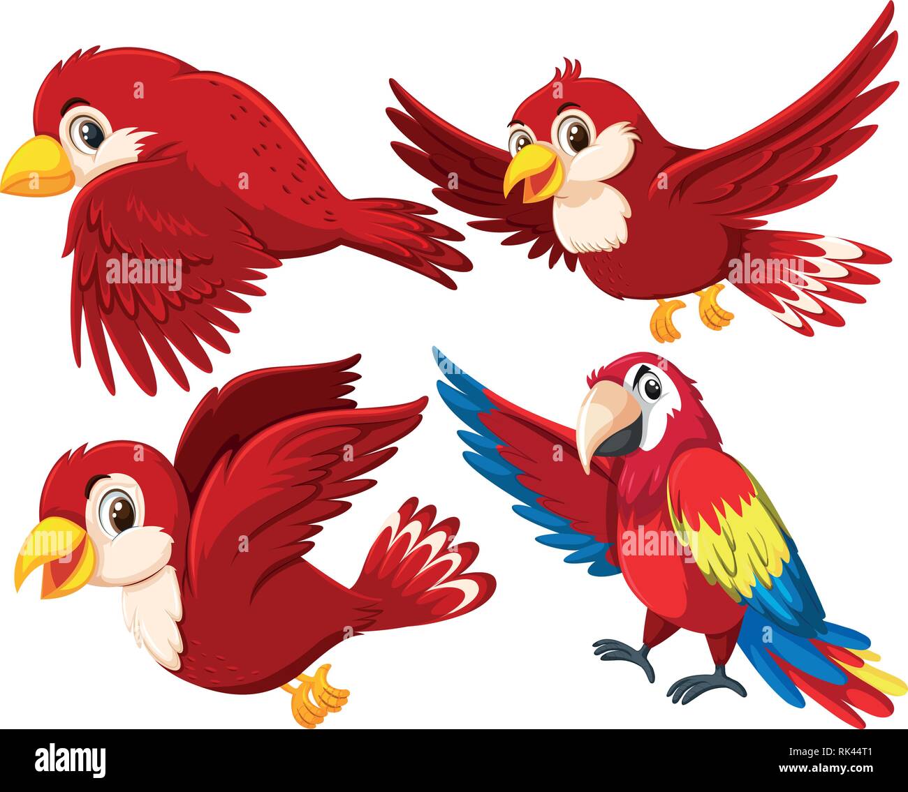 Set of red bird illustration Stock Vector Image & Art - Alamy