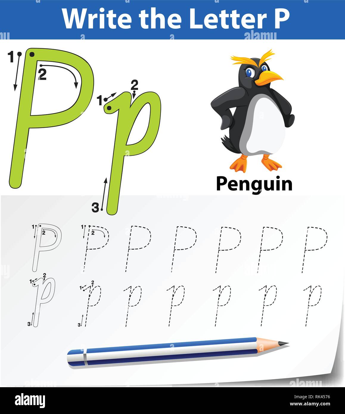 Letter P tracing alphabet worksheets illustration Stock Vector