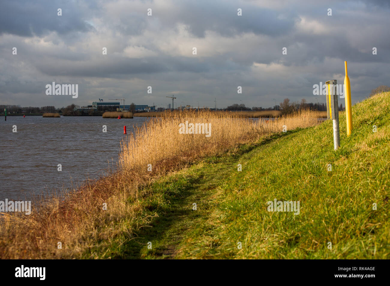 Dutch landscape with grasslands and dikes Stock Photo Alamy