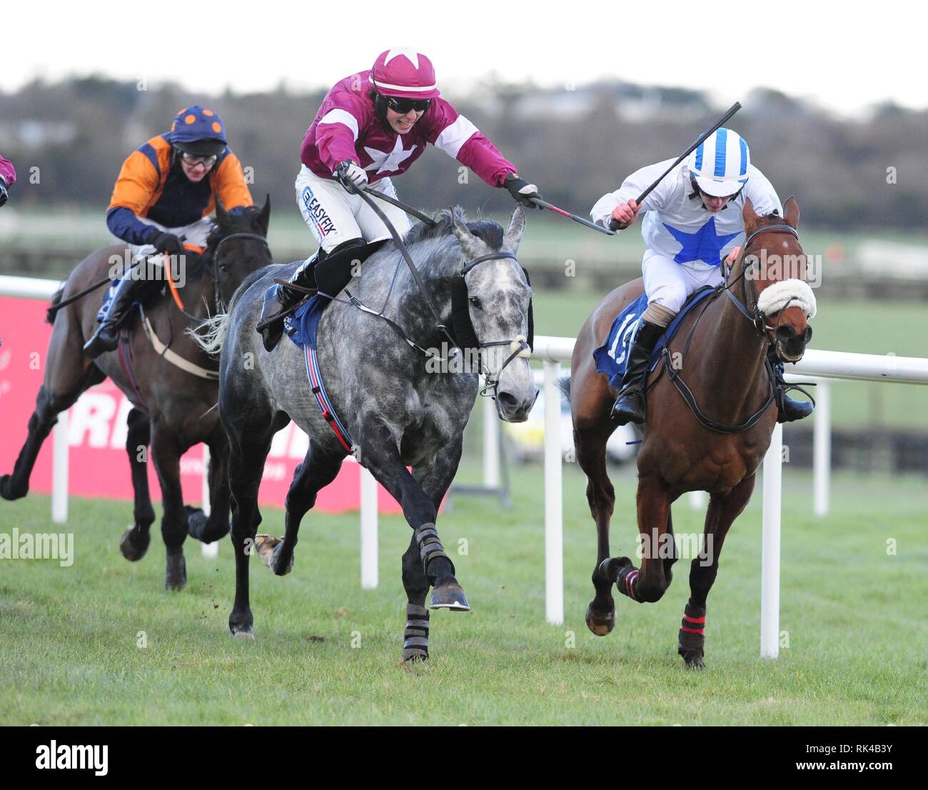 Eviscerating and Evan Daly (left) win the Adare Manor Opportunity Handicap Hurdle during BBA Ireland Opera Hat Mares Chase Day at Naas Racecourse. Stock Photo