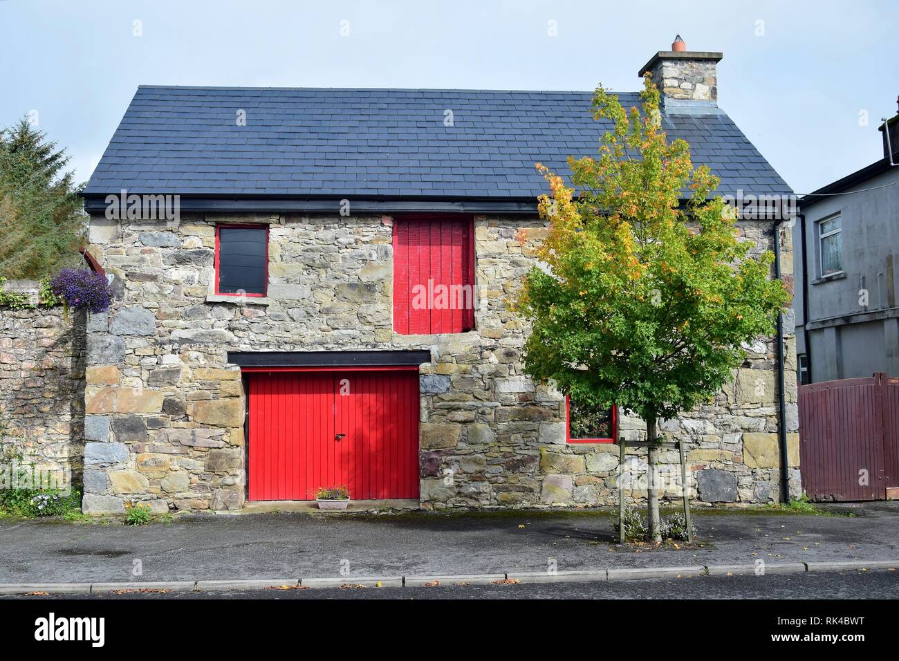An old stone house in Mountshannon with red doors and a tree in front
