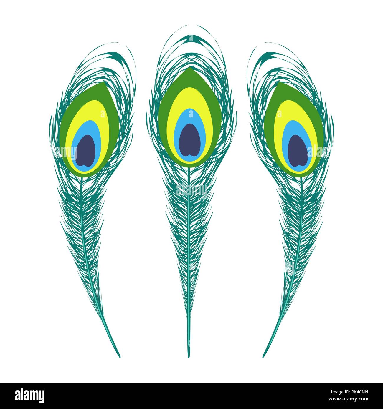 Set of Colorful Peacock Feathers. Stock Vector