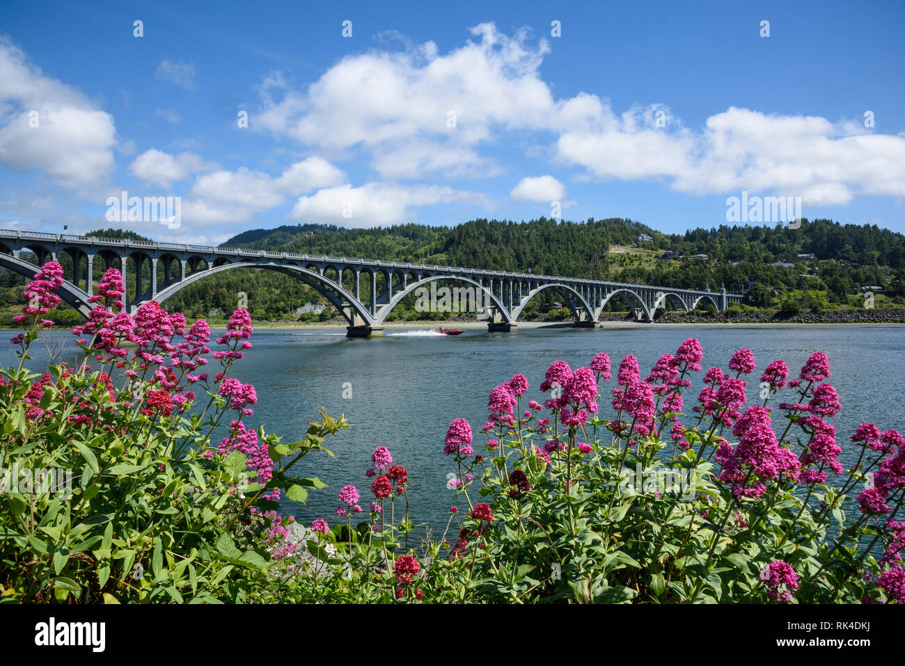 Jet boat hires stock photography and images Alamy