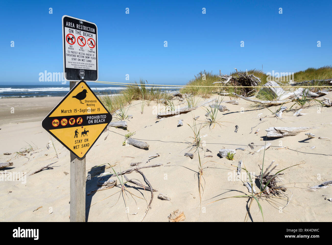 Snowy Plover nesting area beach closure sign near the Siltcoos River, Oregon Dunes National Recreation Area, Oregon Coast. Stock Photo