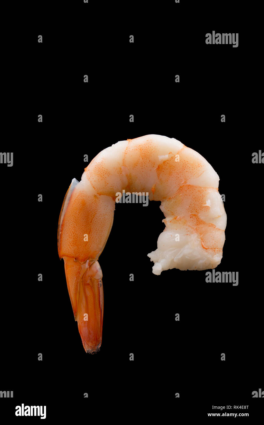 Farmed, cooked jumbo king prawn, Litopenaeus vannamei, bought from a supermarket in the UK and imported from the Far East. England UK GB. Photographed Stock Photo