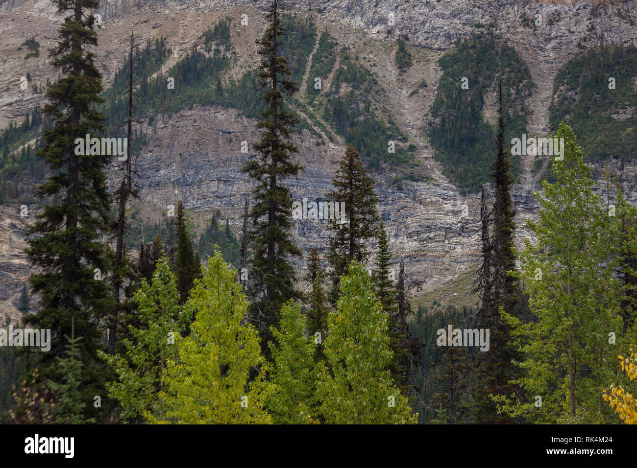 Yoho Valley, Yoho National Park, British Columbia, Canada Stock Photo