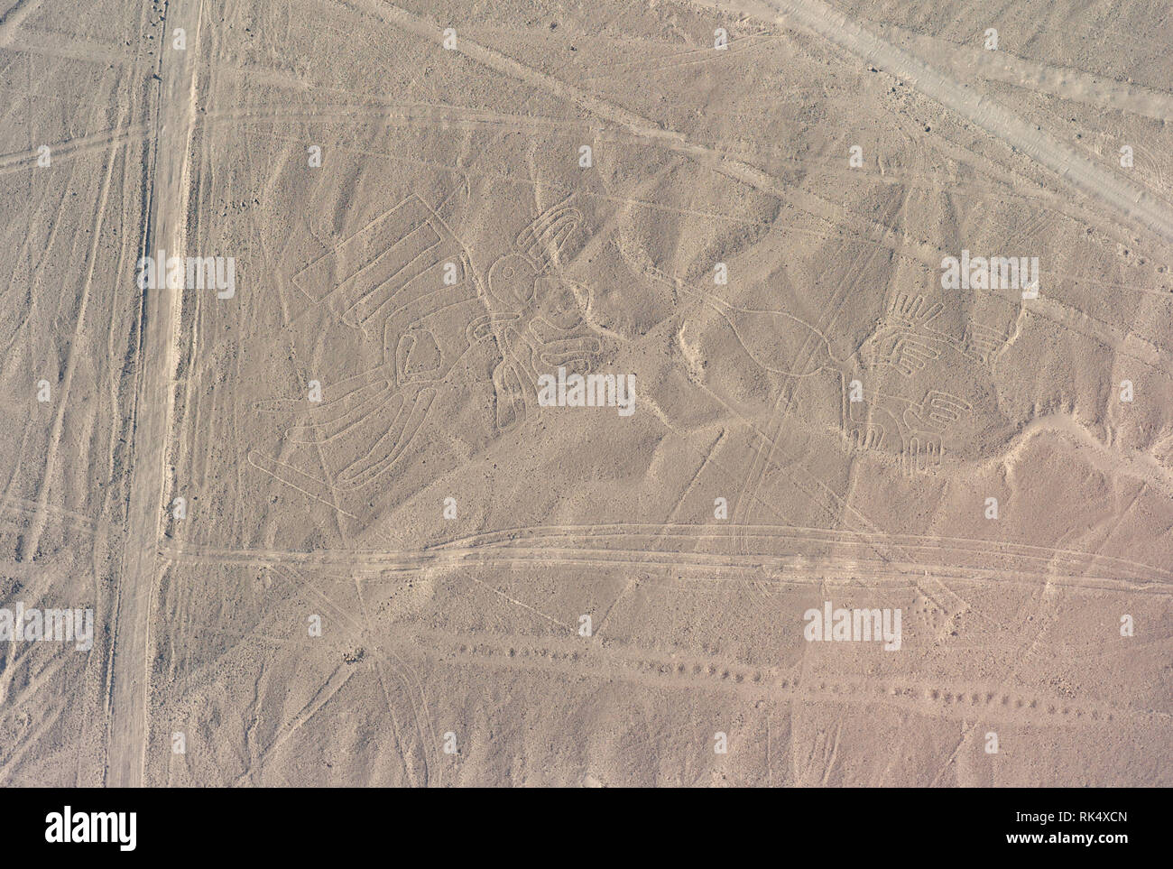 Aerial photo of the Mysterious the Pelican, also called the Alcatraz, Geoglyph and a Phytomorphic Glyph, Nazca Lines Unesco World Heritage Site, Peru Stock Photo