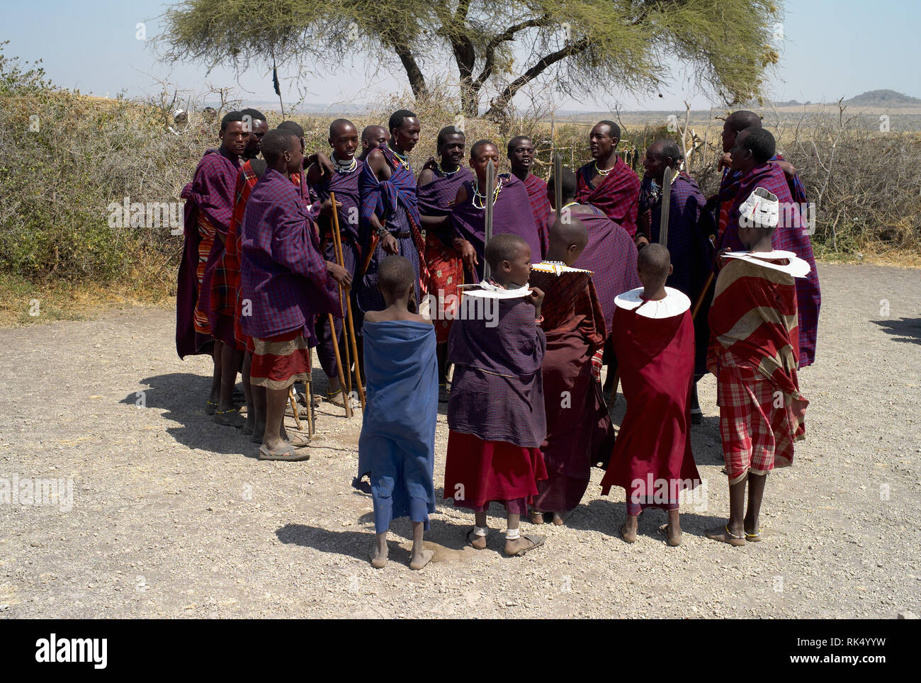 Serengeti, Tanzania - July 31 2008: Masai performing a ritual dance, holding spears, in the Serengeti, Tanzania. Stock Photo