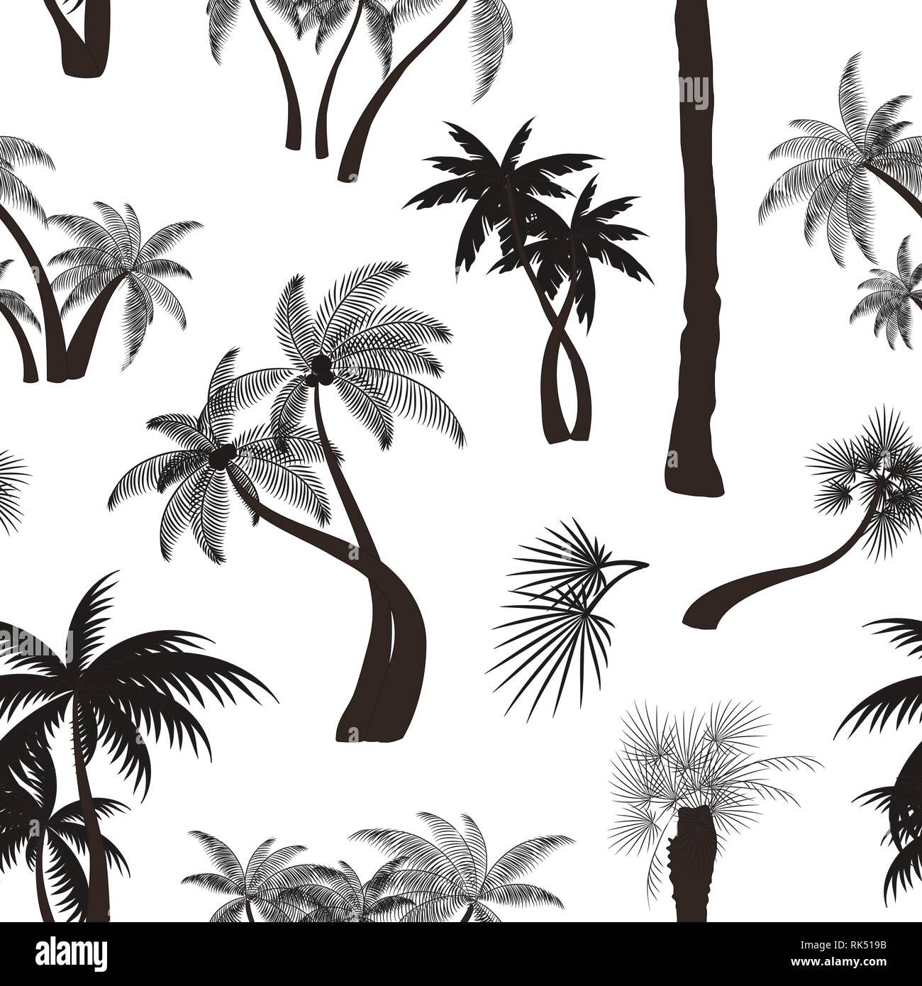 Palm collection pattern. Vector illustration EPS 10 Stock Vector