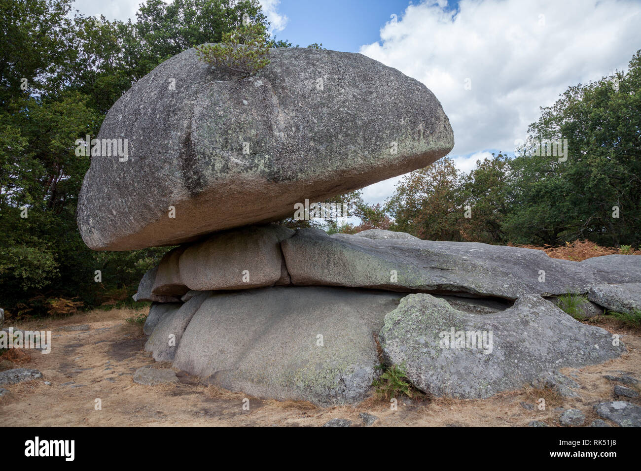 Large rocks in a forest in the south of Sweden Stock Photo