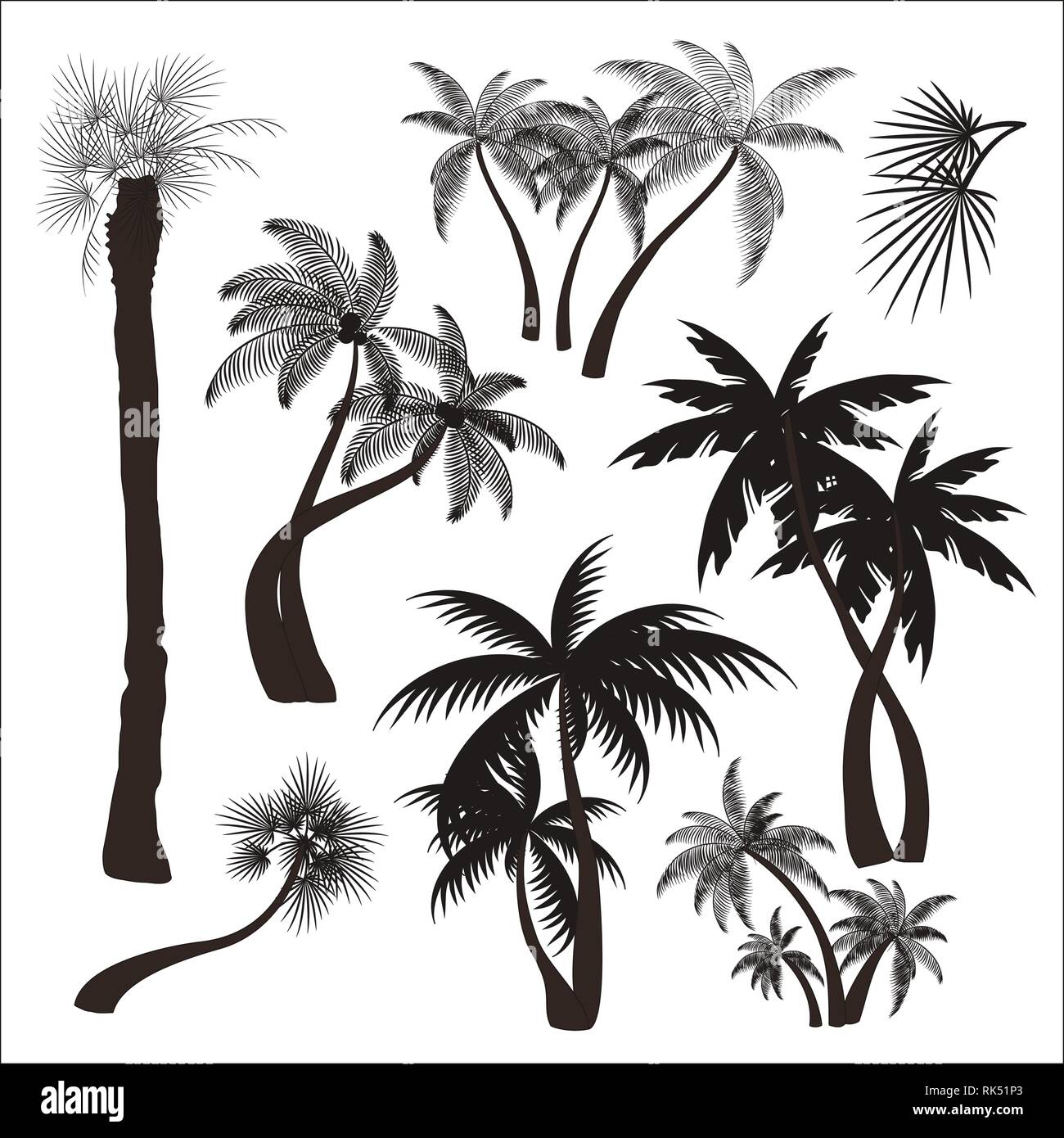 Palms trees collection. Vector illustration EPS 10 Stock Vector