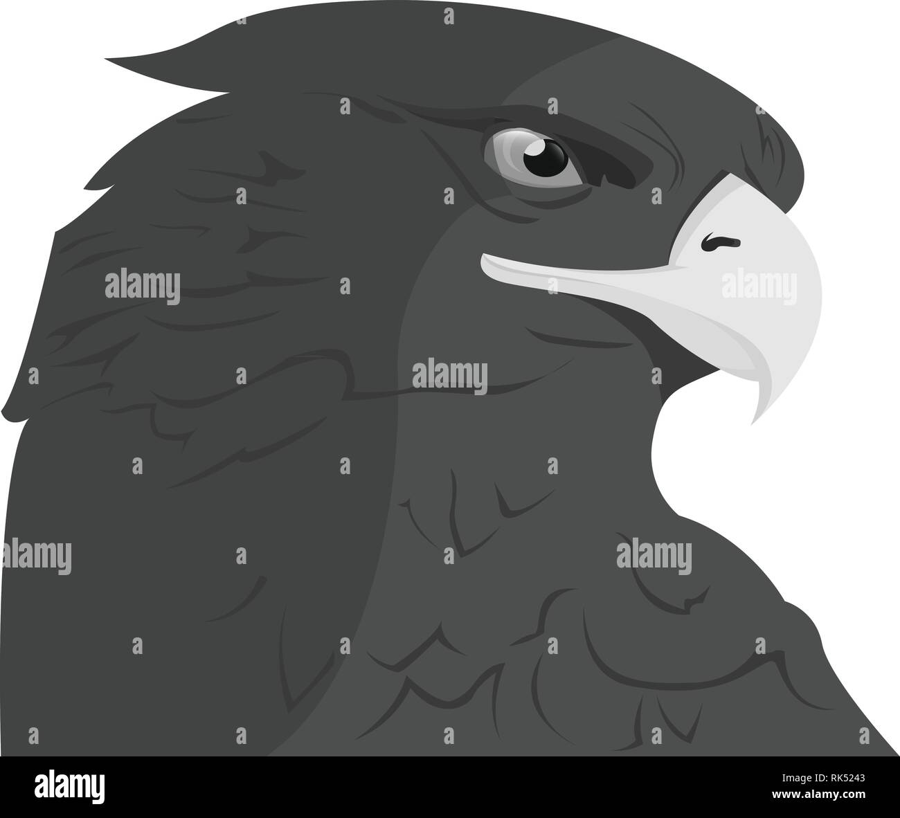 Eagle head logo Template, Hawk mascot graphic, Portrait of a bald eagle. Vector Stock Vector