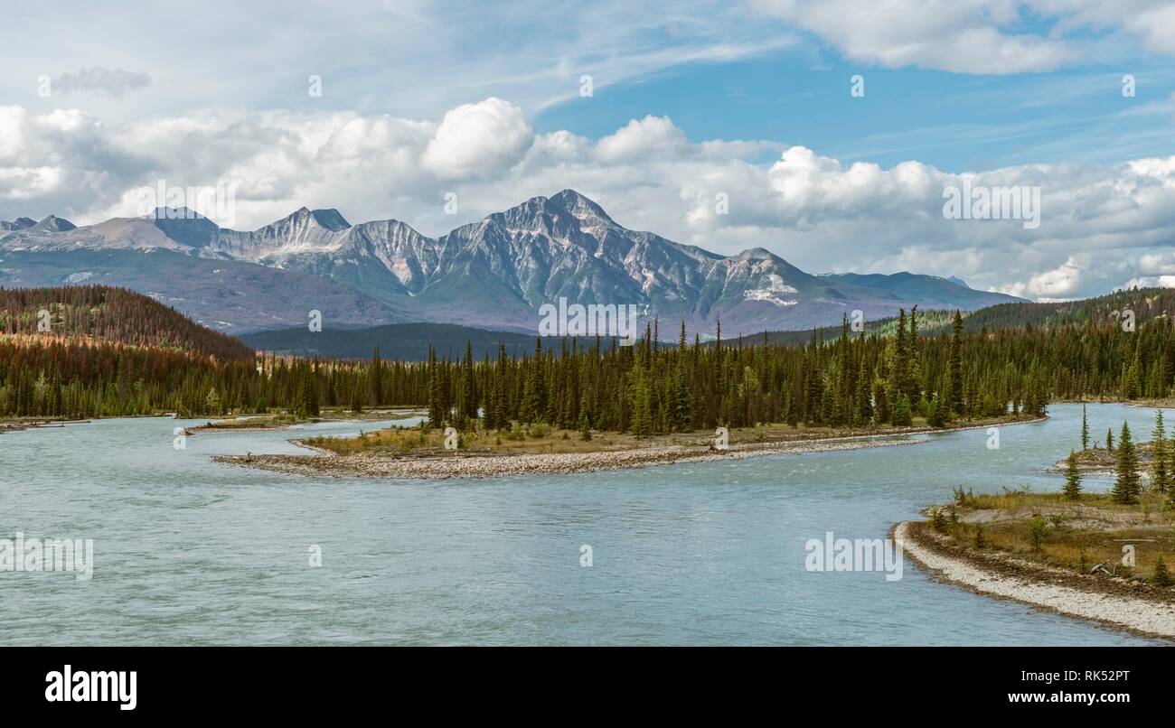 View on wide valley with river, Athabasca River, back mountains, Icefields Parkway, Jasper National Park, Alberta, Canada, North America Stock Photo