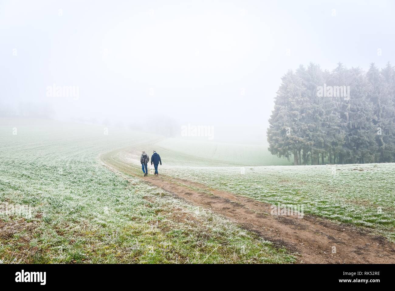 Two hikers on their way through fog landscape, Odenwald, Germany, Europe Stock Photo