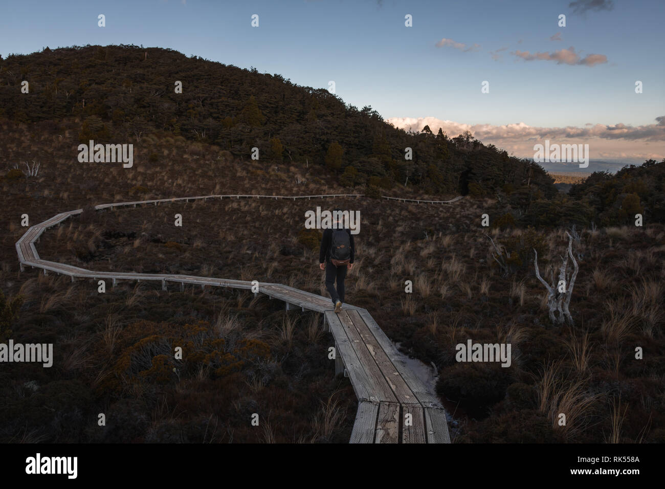 hiking in the nature Stock Photo - Alamy