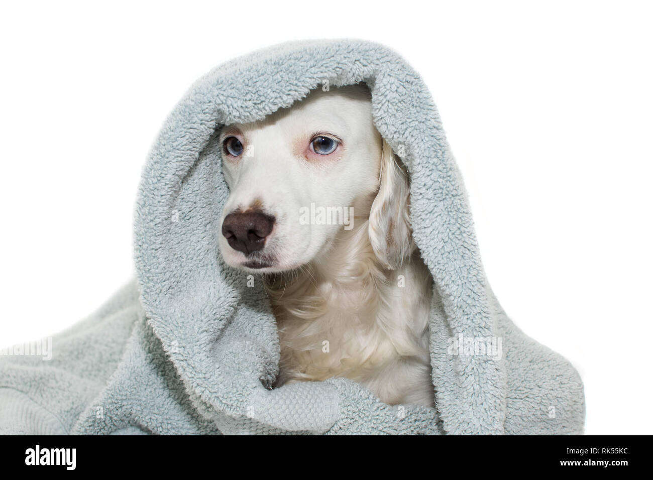 Bath Wrap, Tan Puppy main image 1