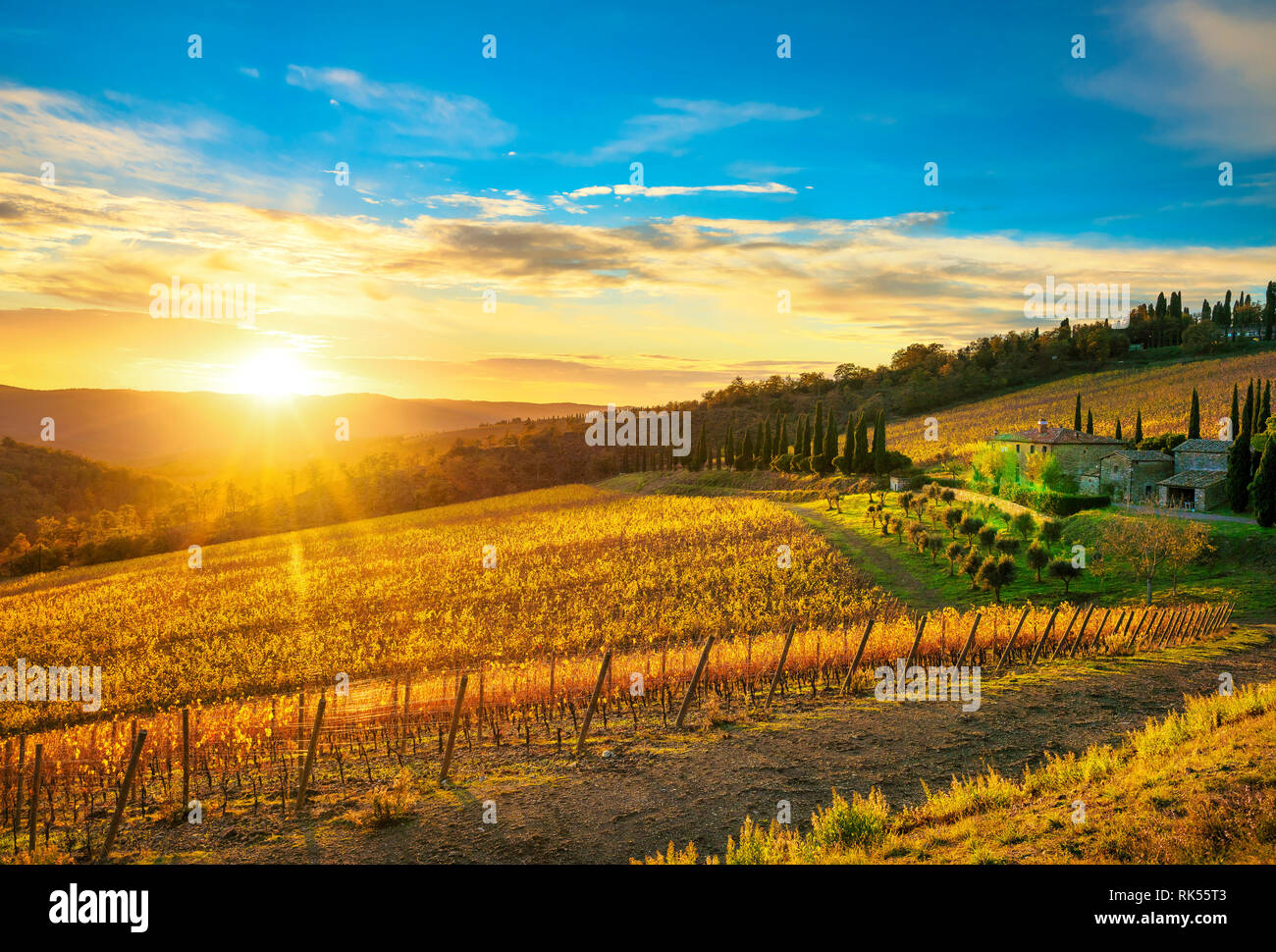 Radda in Chianti vineyard and panorama at sunset in autumn. Tuscany, Italy Europe. Stock Photo