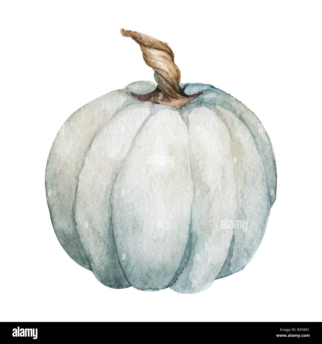 Pumpkin. Watercolor Hand painted pumpkin for halloween and Fall on ...