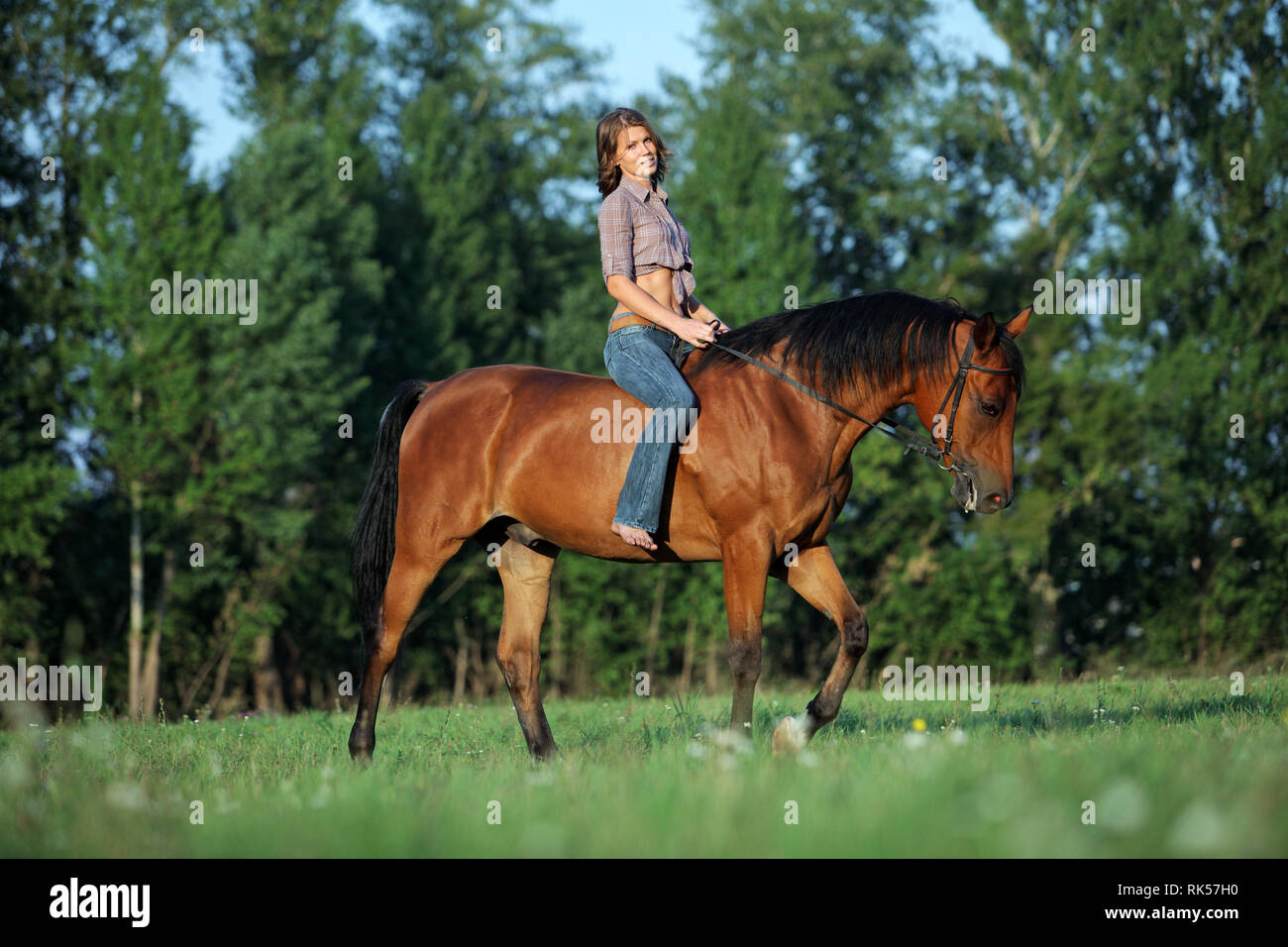 Beautiful cowgirl bareback ride her horse in woods glade at sunset Stock Photo