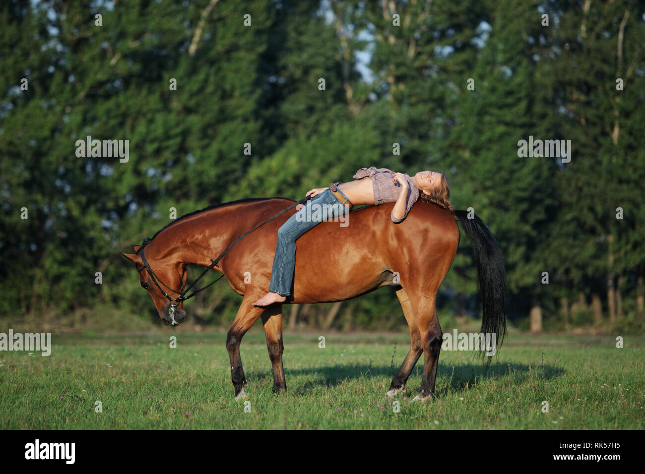 Beautiful cowgirl bareback ride her horse in woods glade at sunset Stock Photo