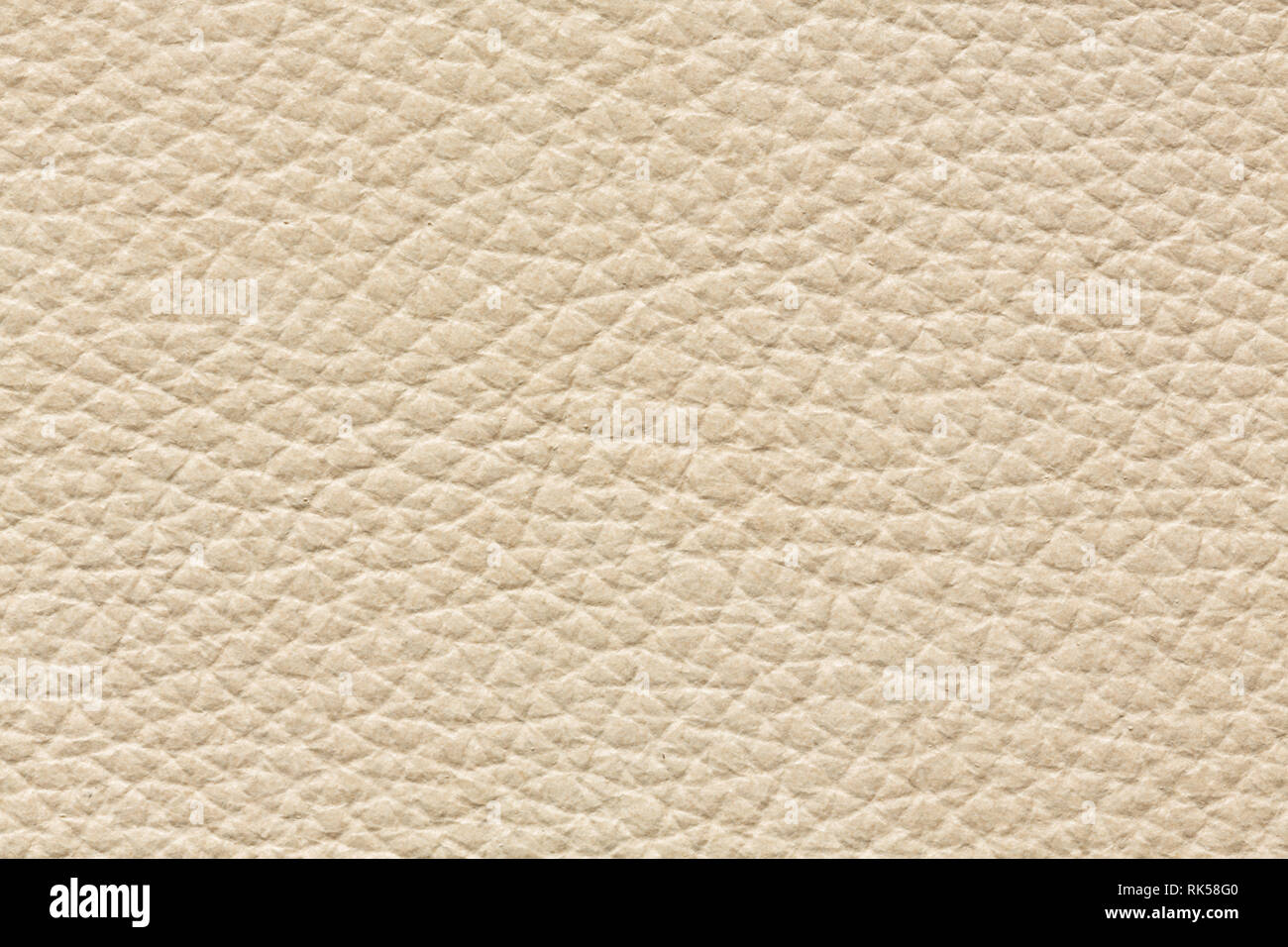 Ideal leather texture in white colour for your unique project. Stock Photo