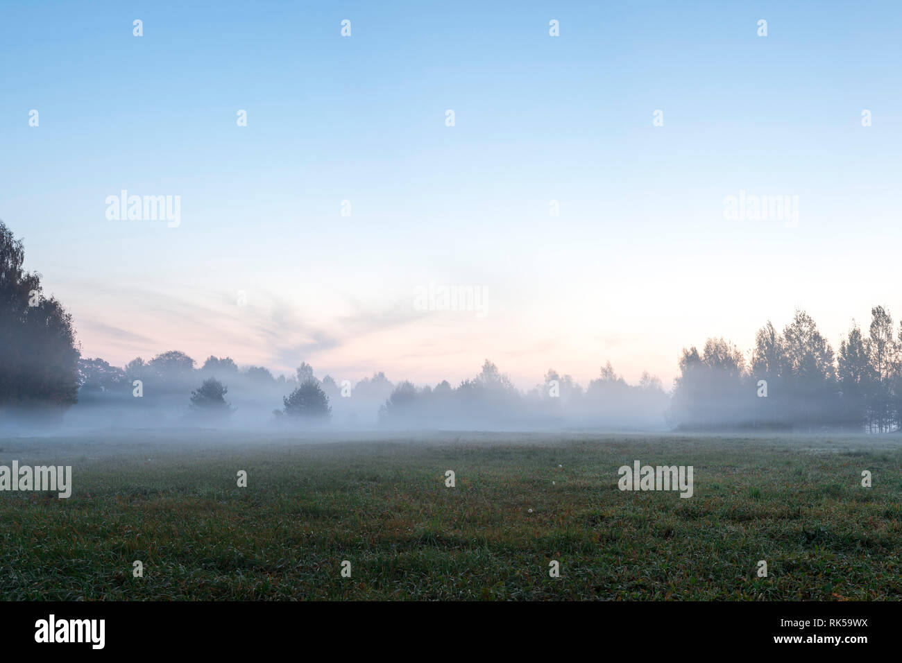 Autumn landscape of dense fog early in the morning in the woods at dawn ...