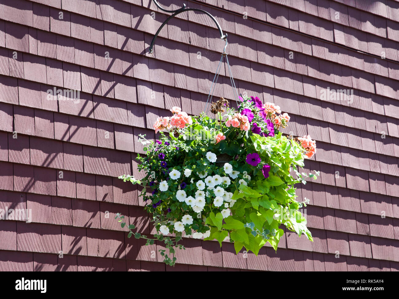 The bouquet of flowers hanging in Halifax old town (Nova Scotia Stock Photo Alamy