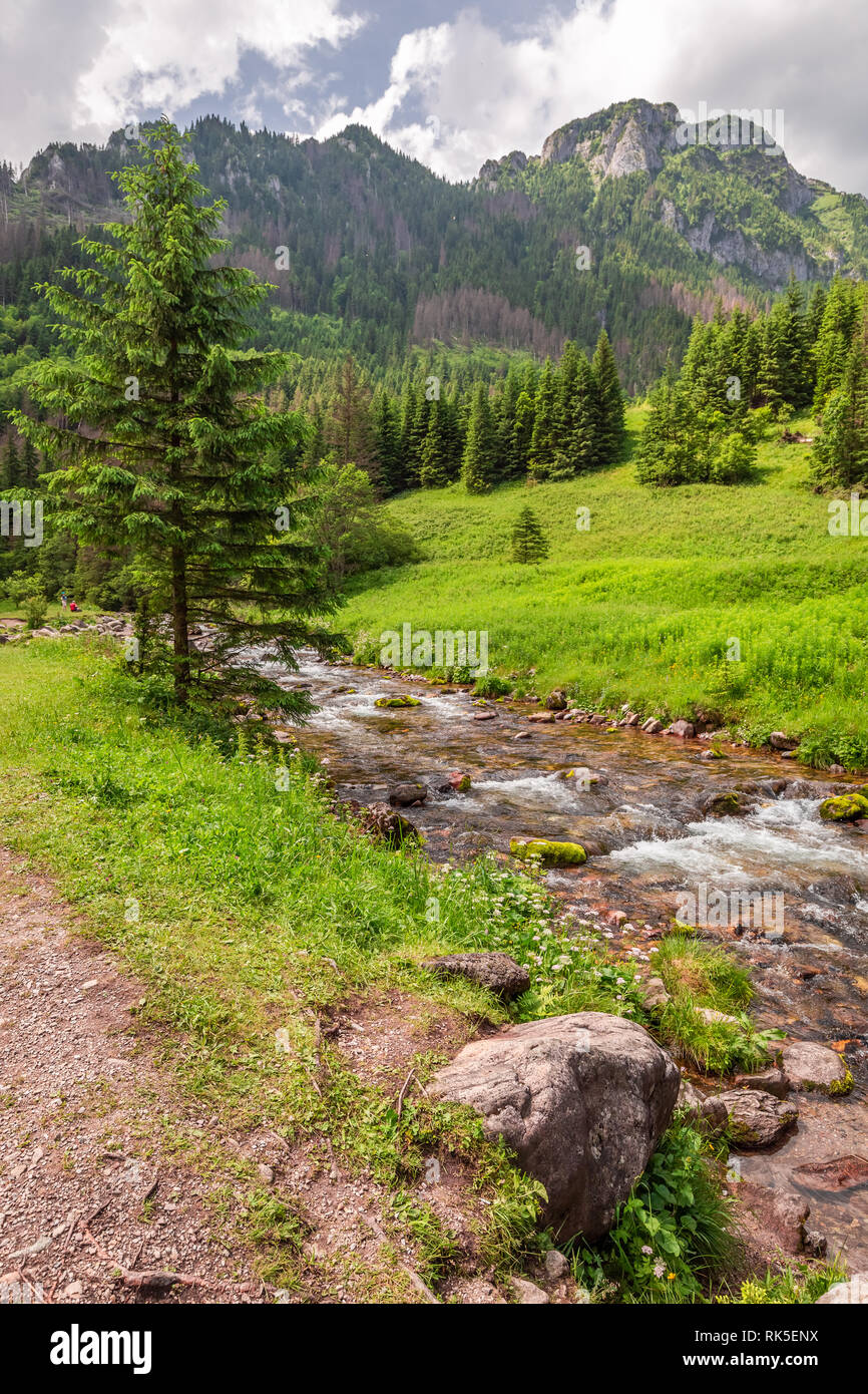 Small stream and footpath in Koscieliska valley, Tatra mountains Stock ...