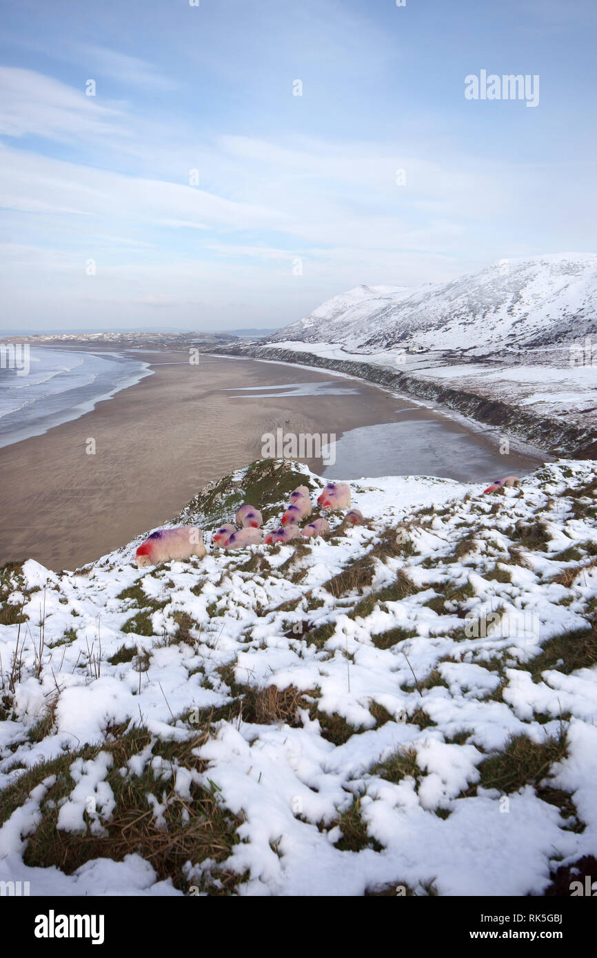 Snow at Rhossili on 1st February 2019 Stock Photo