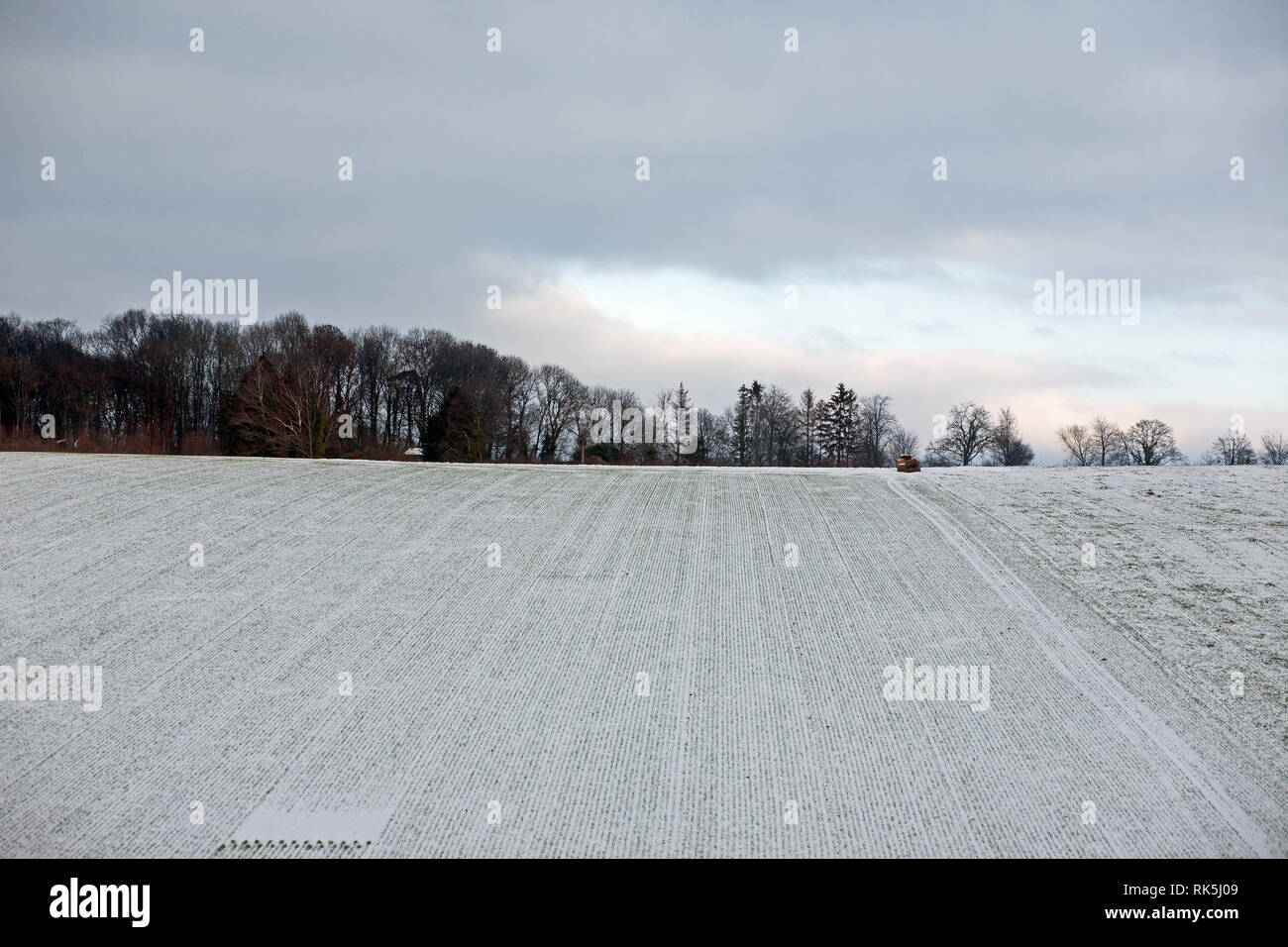 Snowfield with tracks Stock Photo