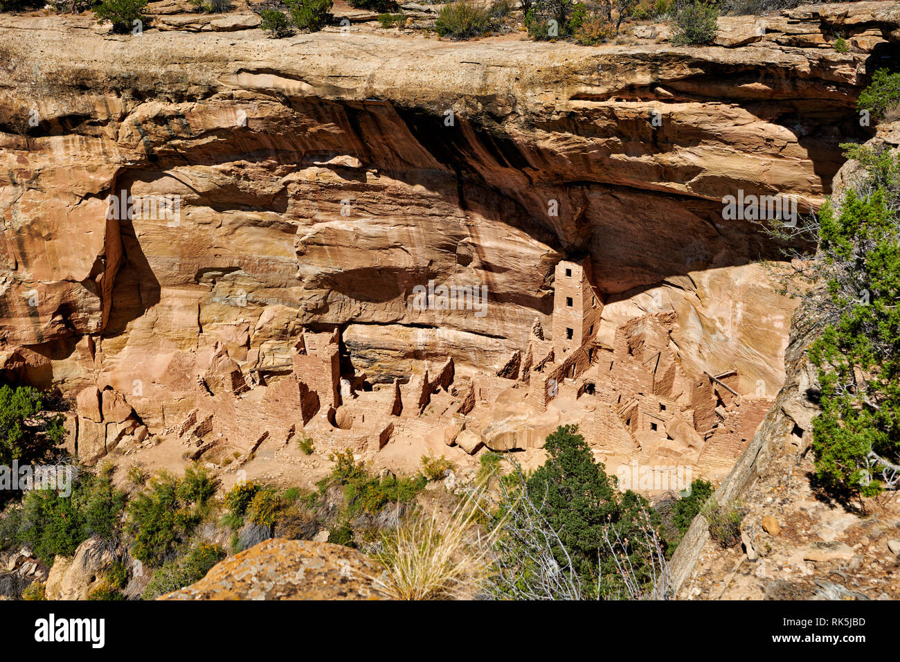 Square Tower House, Cliff dwellings in Mesa-Verde-National Park, UNESCO world heritage site, Colorado, USA, North America Stock Photo