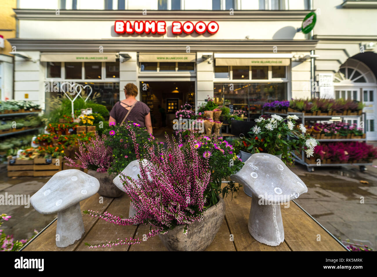 Blume 2000 hi-res stock photography and images - Alamy