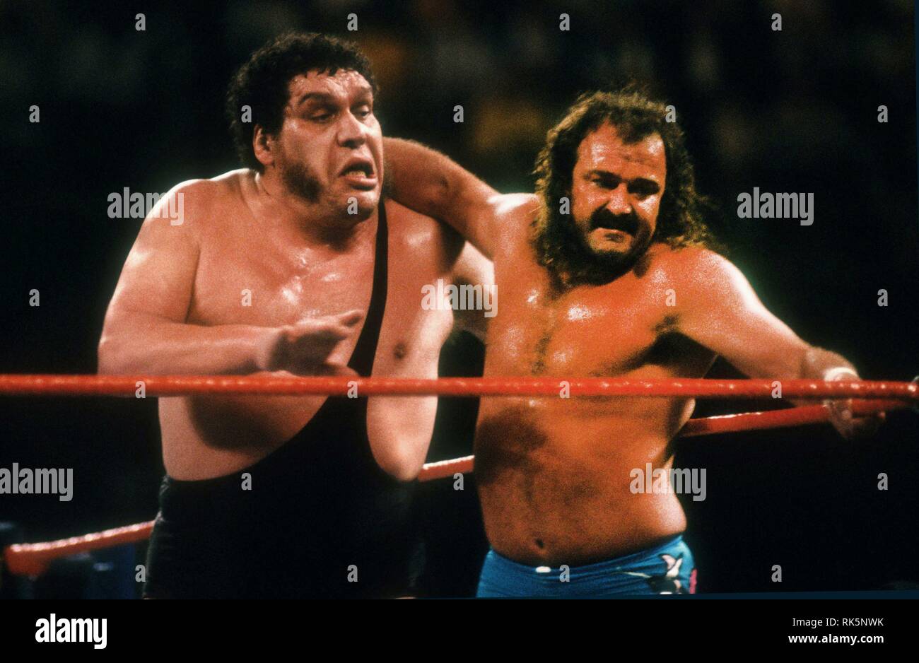 Andre The Giant High Resolution Stock Photography And Images Alamy