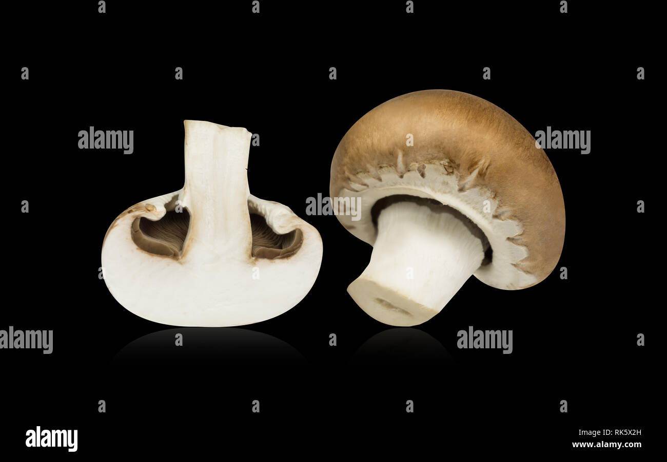 Close-up of a halved edible mushroom with reflection isolated on black background. Stock Photo