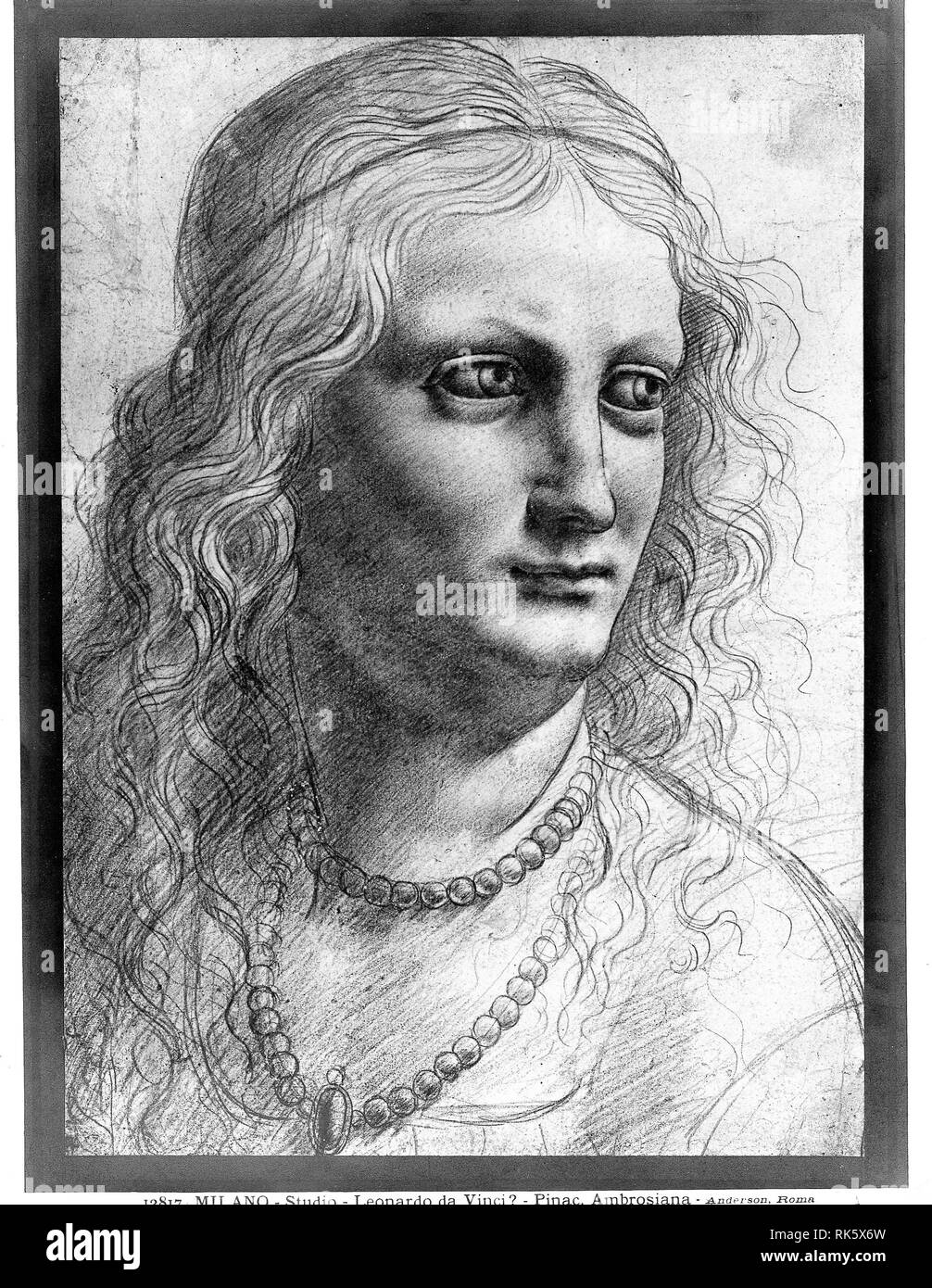 Leonardo da vinci drawings Black and White Stock Photos & Images Alamy