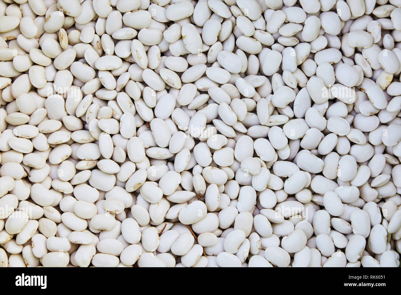 Delicious mottled, raw common beans, haricot, white pea, white kidney